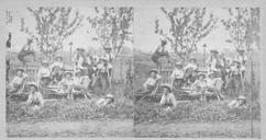 SA0166 - Photo shows Nehemiah White and boys around farm implements.
